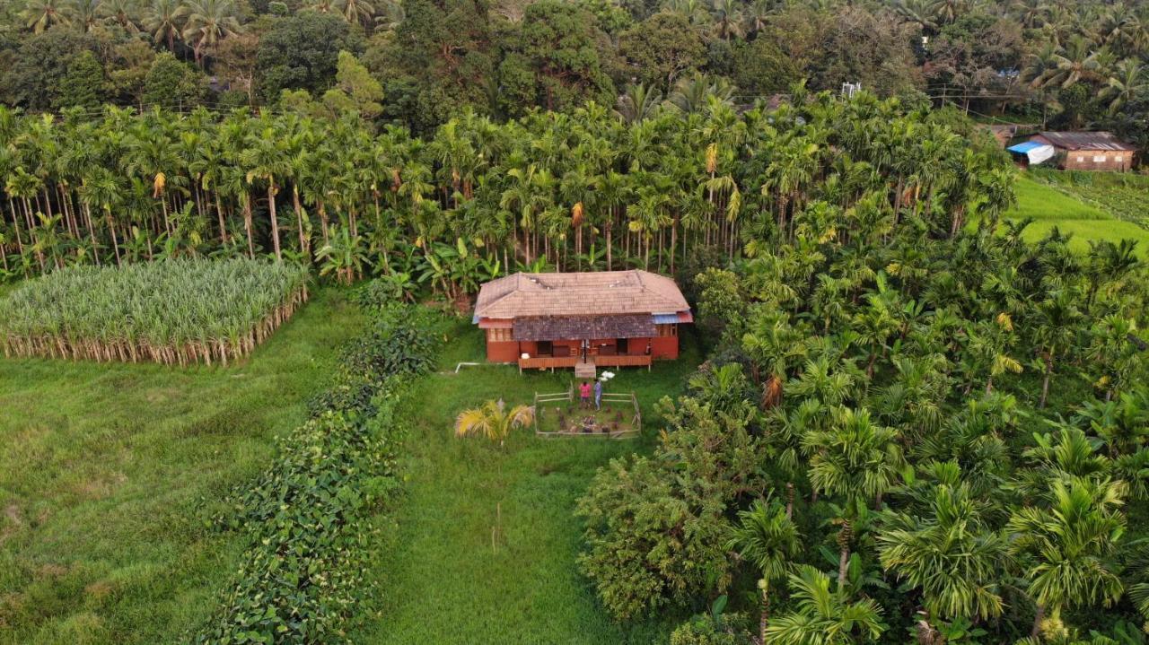 Ibbani Homestay, Siddapur Dış mekan fotoğraf