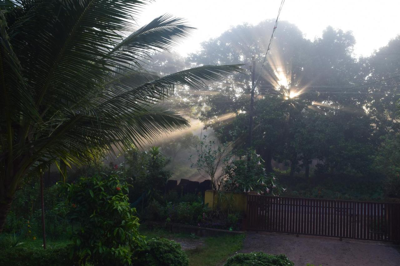 Ibbani Homestay, Siddapur Dış mekan fotoğraf