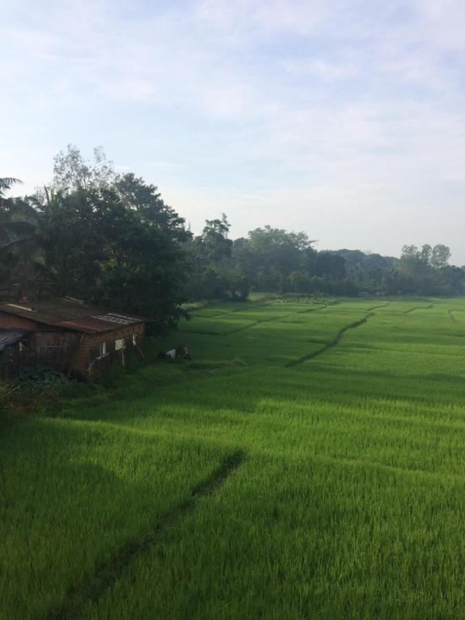 Ibbani Homestay, Siddapur Dış mekan fotoğraf